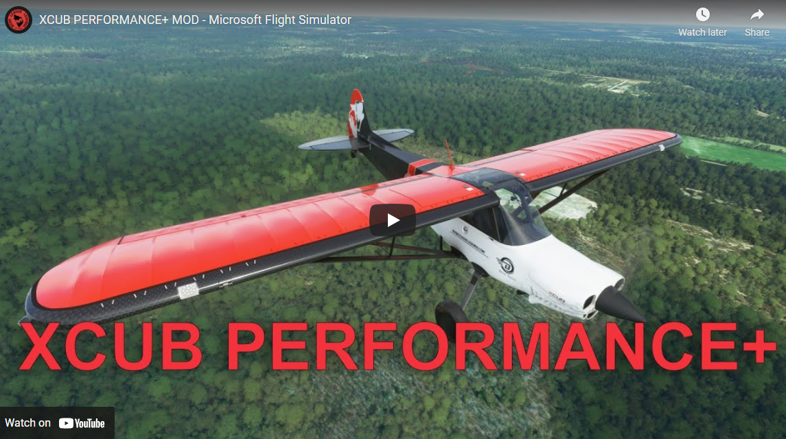 xcub__performance_28